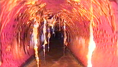 ��� ���� - ���� Economy of Excess