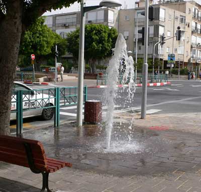 ����� ����� - ��� �����