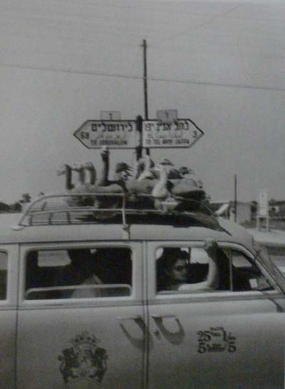   -  , 1955
