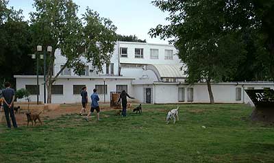 ����� �������� - ������ ������, ��������