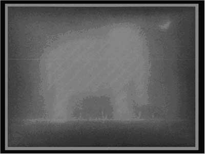 ����� ���, ���, 1998-2004, ���� �����: ������ �� ���� ���� ������. ���� �����, ���, 23�30 �