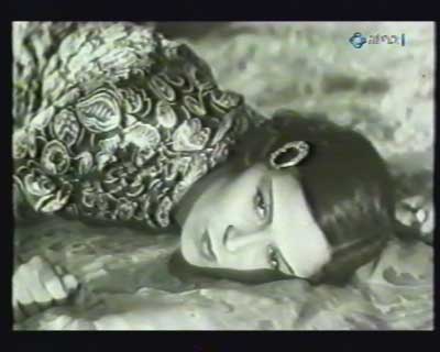 ���� ���� ���� ���� 