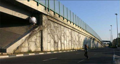 ���� ������ 