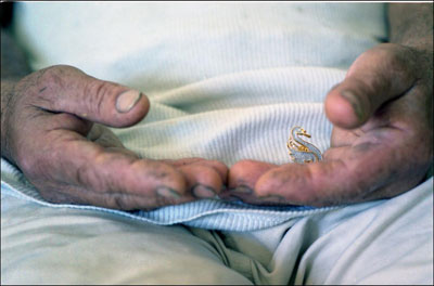 ��� �����, ����� (���), 2005