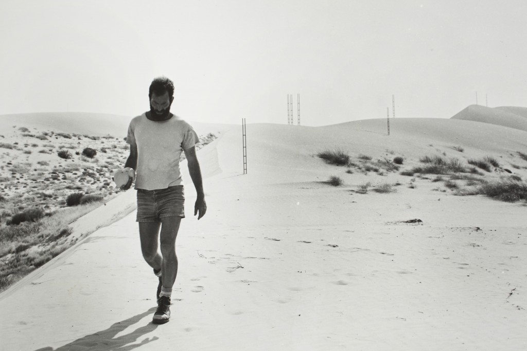 Ladders in Nizzana Dunes