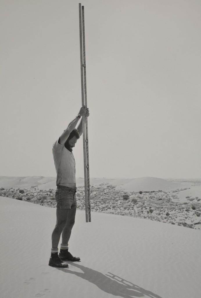 Ladders in Nizzana Dunes